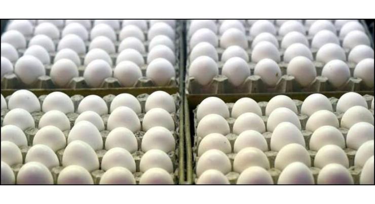 Punjab Food Authority destroys three million rotten eggs in Lahore
