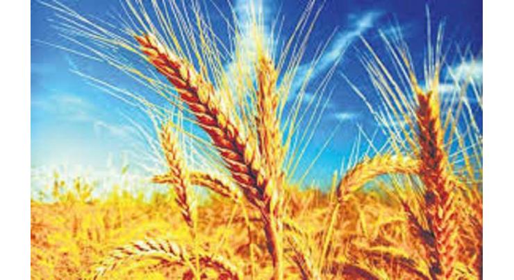 Russian Agriculture Ministry Raises 2018 Wheat Harvest Forecast by 6% to 68-69Mln Tonnes