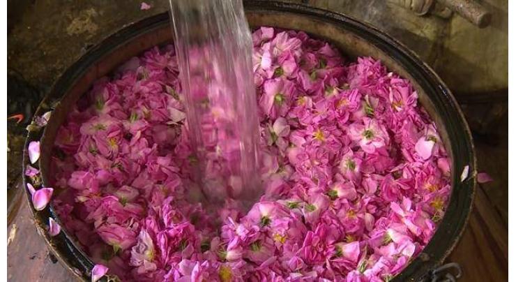 Iran world's top exporter of rose water
