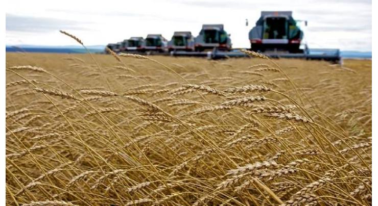 Russia's Annual Grain Harvest Must Reach 137.5Mln Tonnes by 2024 - Agriculture Ministry