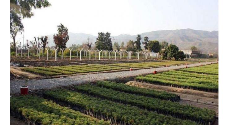 KP Govt directs active participation in Clean, Green Pakistan movement
