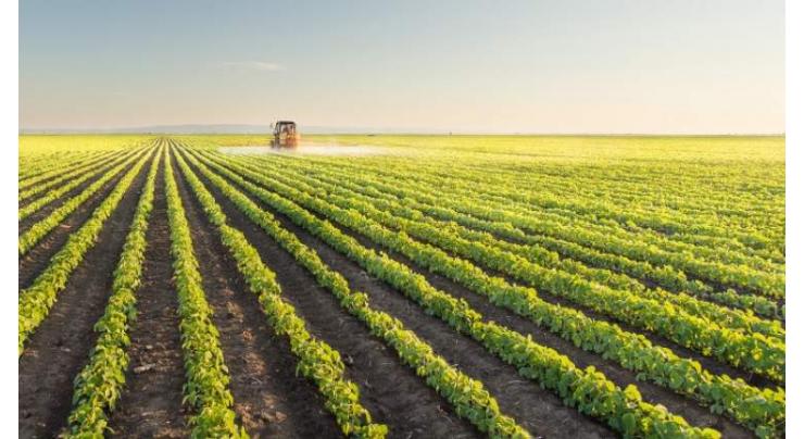 Abu Dhabi gathers agricultural sector leaders to address global food security challenges