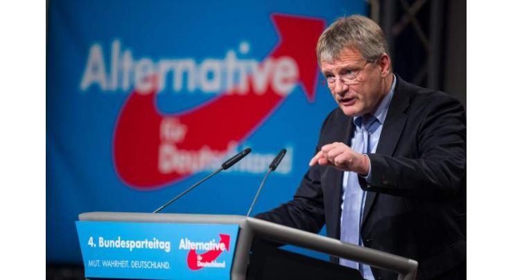 Germany's AfD Views Bavaria's Election as Victory Due to Big Spike in Support - Co-Chair