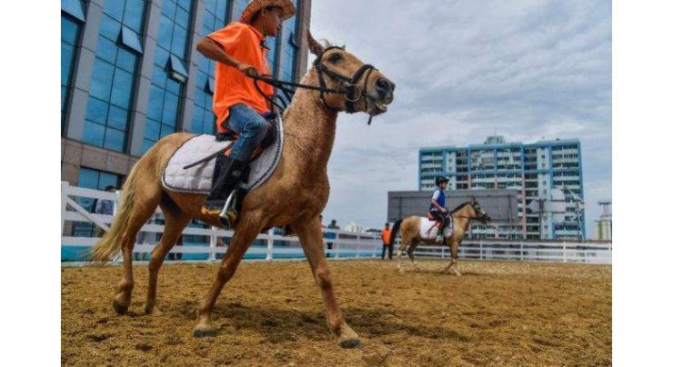 China backtracks on horse racing, gambling for island province
