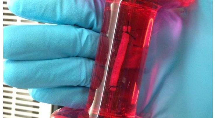 Lab-grown oesophagus implanted in mice
