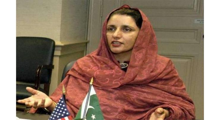 Industrial, technical cooperation an integral part of Pakistan-Turk relations: Minister
