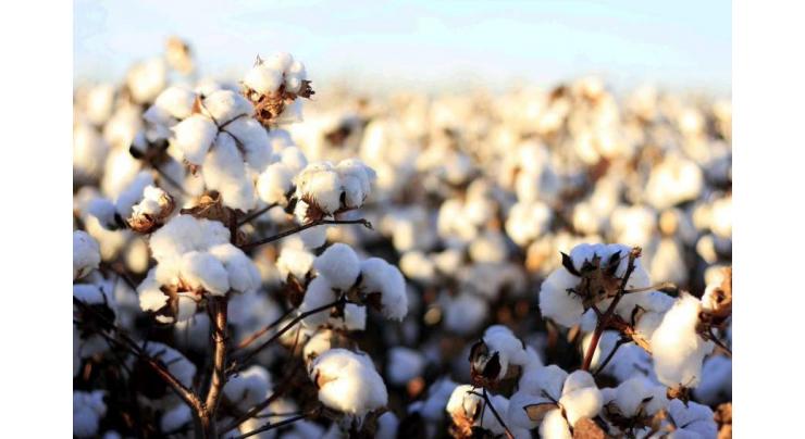 Spot rates of cotton (Crop 2018-19) 18 October 2018

