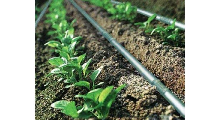 Drip irrigation project could not achieve success due to higher cost
