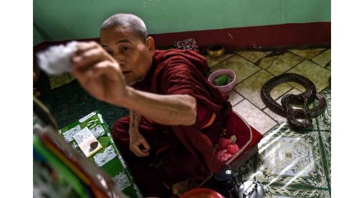 Myanmar Buddhist temple now a nirvana for snakes
