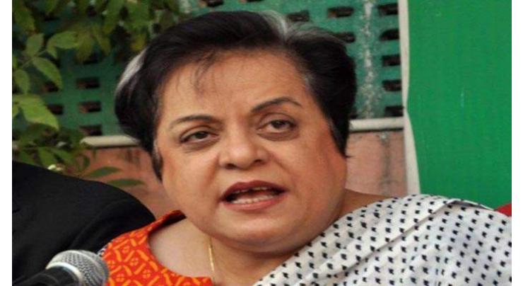 Human Rights ministry to ensure fundamental rights of every citizen: Shireen Mazari
