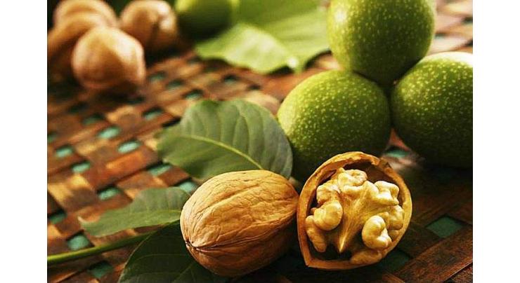 Walnut a natural blessing for hair and skin
