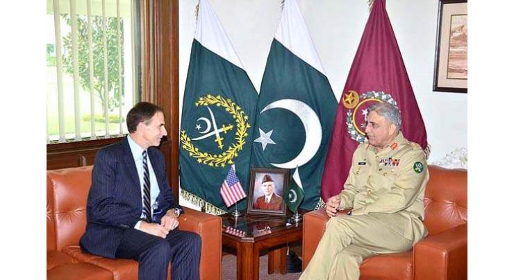 US Charge' d' Affairs to Pakistan calls on COAS

