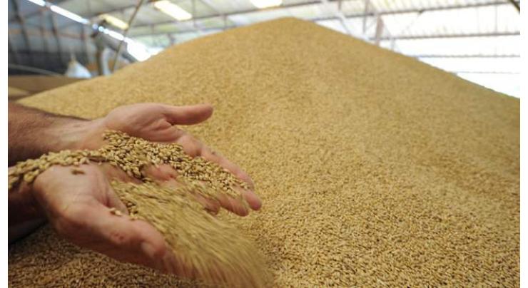 Govt to raise warehouses' wheat storage capacity to 0.6m tons
