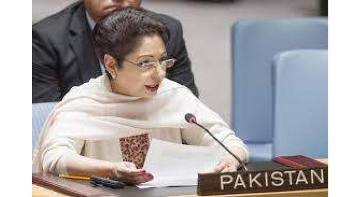 Pakistan's three disarmament-related resolutions garner overwhelming support in UNGA's panel
