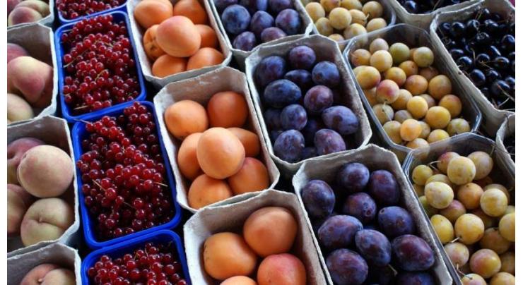 Chinese demand propels Chile's fruit exports to record high
