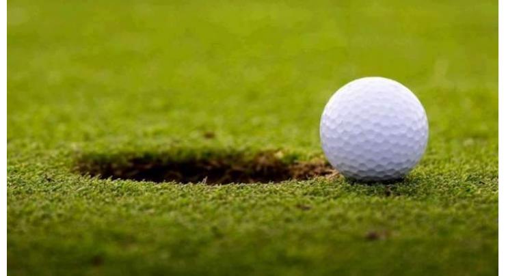 Golf: Nedbank Challenge second round scores
