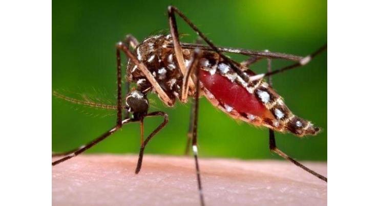 Dist Rawalpindi health authority directed to expedite surveillance activities to control dengue
