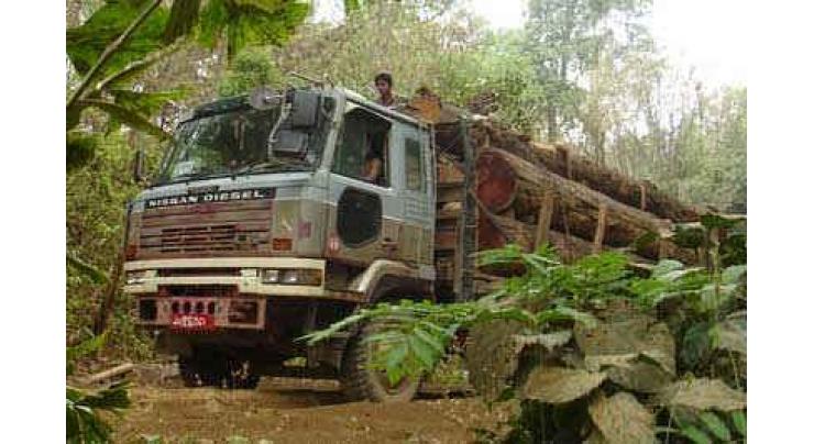Forest dept seizes huge quantity of smuggled timber
