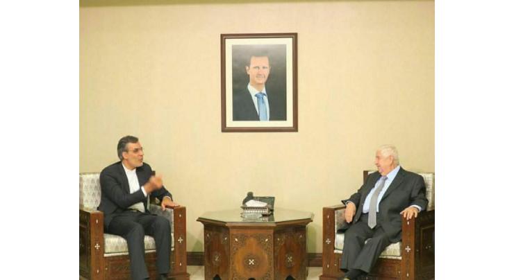 Syrian Foreign Minister, Senior Iran Aide Discuss Constitutional Committee