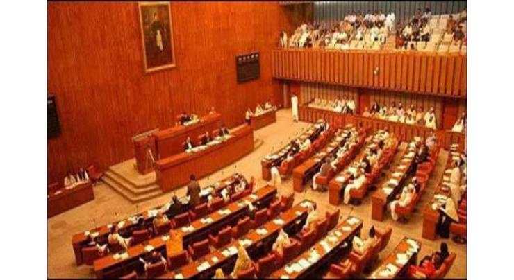 Senate continues discussion on foreign policy, economic situation
