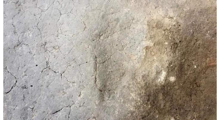 7,500-year-old footprints found in NW Turkey
