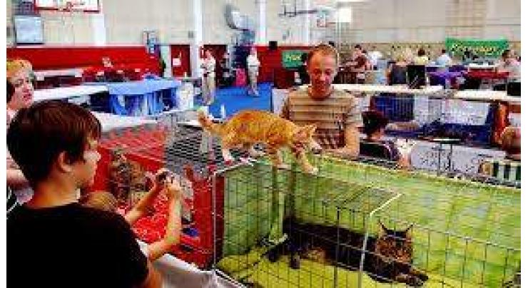 Two international cat shows to be held in Zagreb on Nov 17/18
