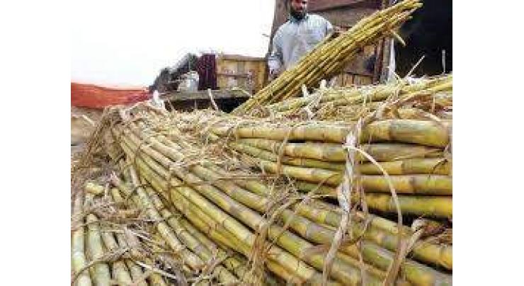 Exploitation of sugarcane growers not to be tolerated: Deputy Commissioner Sardar Saifullah Dogar 
