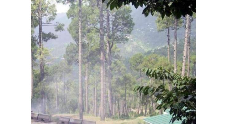 Forest deptt to seek Suparco help for GIS-based map of Multan green core
