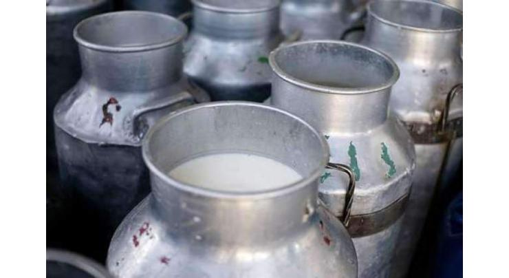 KP food authority discards 600 liters of adulterated milk
