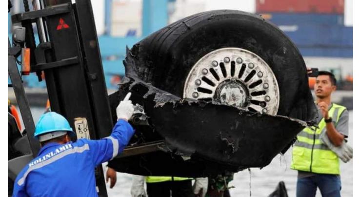 Indonesian jet crash victim's family sues Boeing

