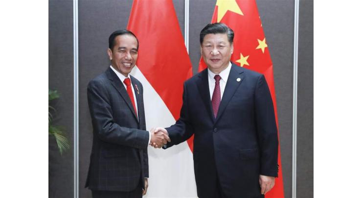 China, Indonesia agree to promote bilateral cooperation
