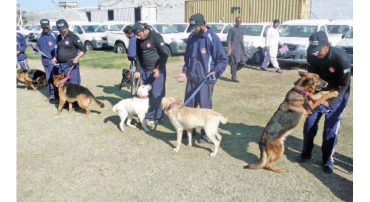KP police Canine Unit equally contributing in foiling terrorism activities
