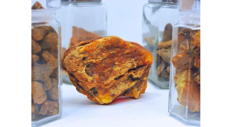 Russia's Kaliningrad Amber Combine Produces Record 500 Tonnes of Amber in 2018