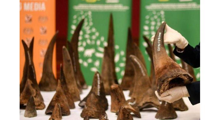 Thai prosecutor among trio jailed for $1.4m rhino horn haul
