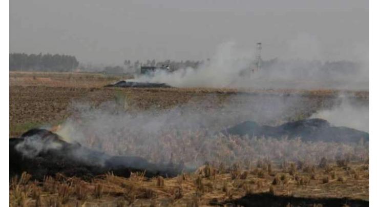 Farmer booked for burning crops remains in Lahore
