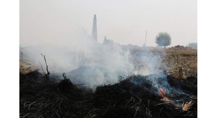 Open garbage, trash burning continues despite Smog alerts

