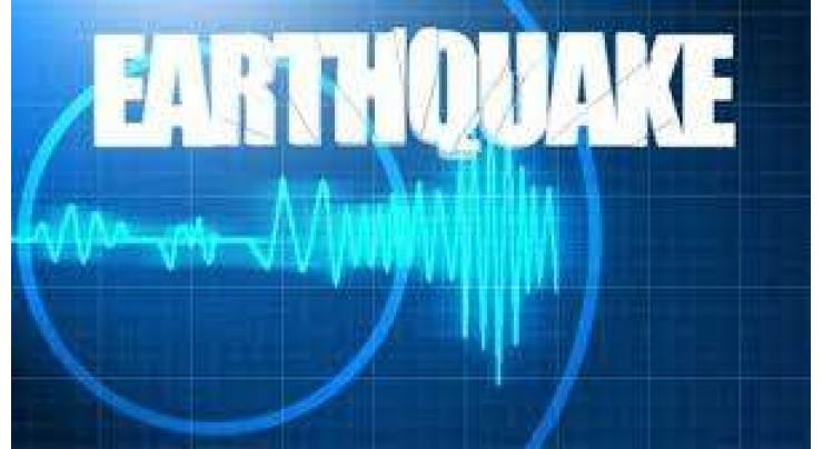 6.6 magnitude quake hits off New Caledonia: monitors
