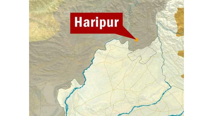 Two died, several injured in road mishap in Haripur
