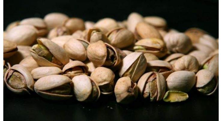 'Iran, US have stiff competition in global pistachio market'
