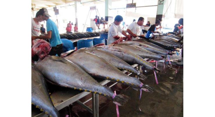 Pacific nations resist US push to lift tuna quota
