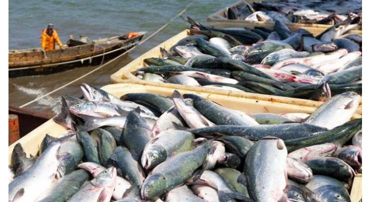 Fishing Venue in the offing for national, global markets outreach
