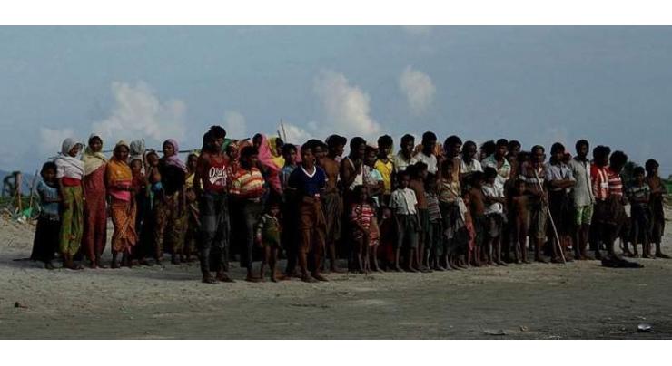 'UK can play crucial role in ending Rohingya genocide'
