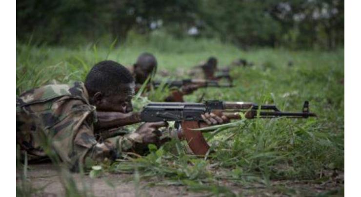 France ships 1,400 assault rifles to C.Africa army
