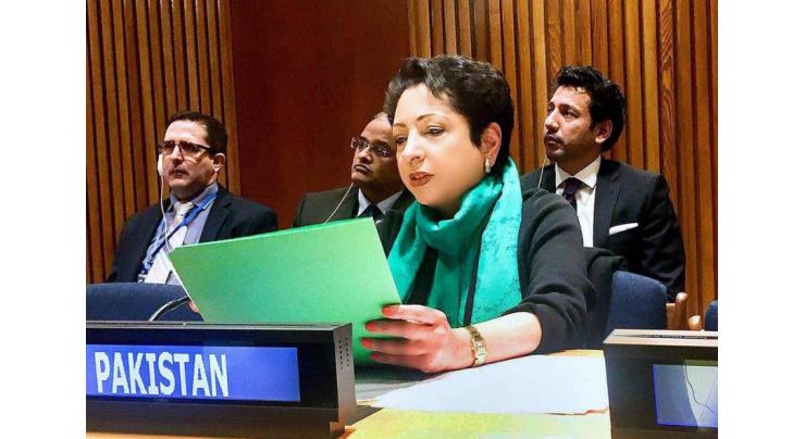 UNGA adopts Pak resolution reaffirming peoples' self-determination right, urging end to occupation
