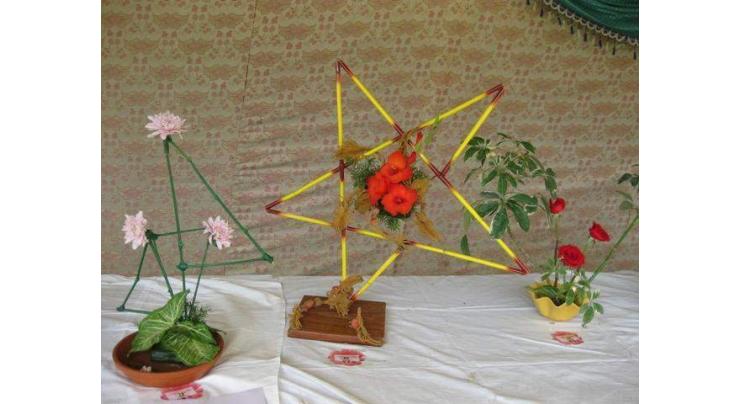 Japanese embassy arranges Ikebana, embroidery exhibition
