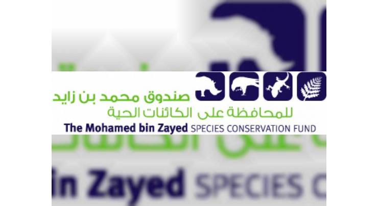 Mohamed bin Zayed Fund to support plant, tree research in Namibia and Brazil