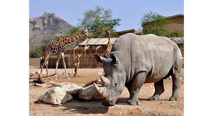 Al Ain Zoo launches electronic archiving system