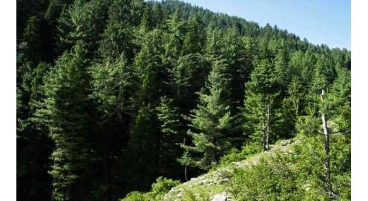 Development scheme of Forest Wildlife & Fisheries sector approved
