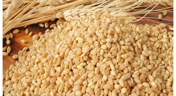 People refuse to buy substandard wheat
