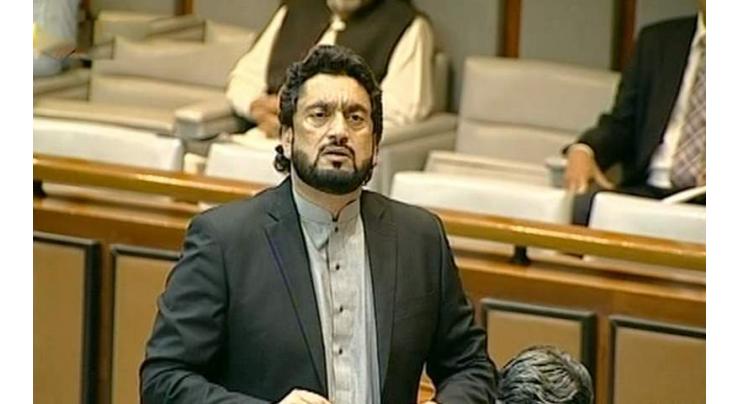Armed forces vigilant to defend country's frontiers: State Minister for Interior Shehryar Afridi 
